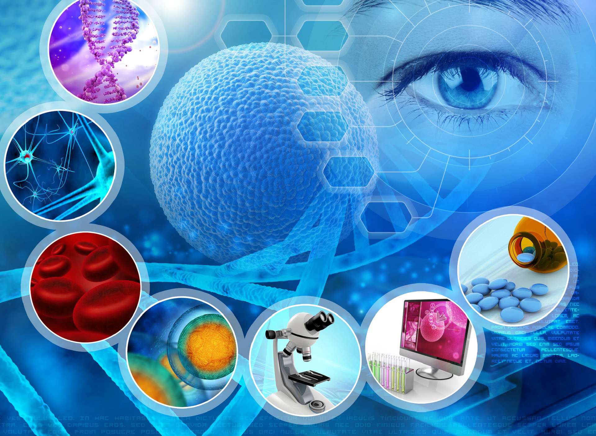 Course Image Metodyka pisania pracy dyplomowej i wykorzystywanie baz danych [Buchwald: 2025/2026Z]B