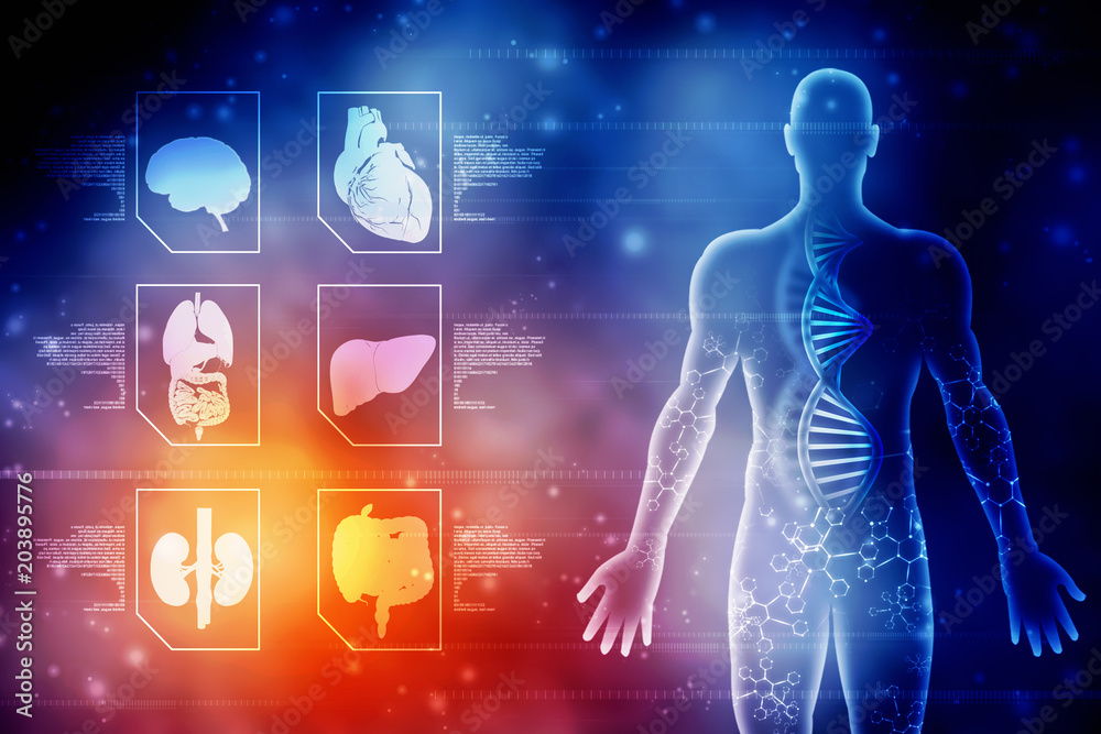 Course Image Fizjologia [Jasikowska: 2025/2026Z] B