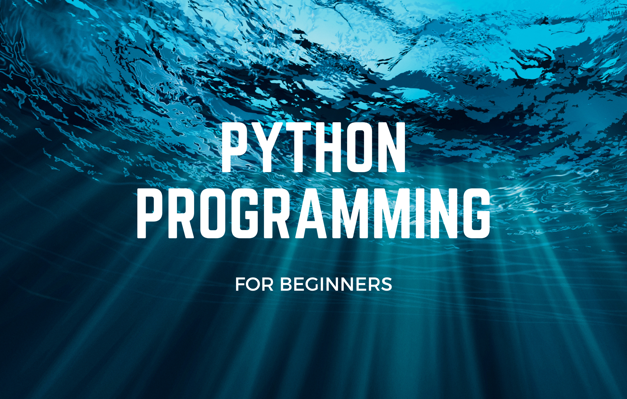 Course Image [Python] Python Programming